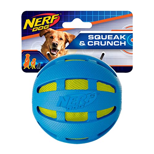 NERF Dog 9,7 cm Rubber Checker Crunch Ball - Blau mit grünem Crunch Bag von NERF