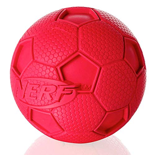Nerf Dog Hundespielzeug Fussball mit Quietschgeräusch, farblich sortierte Lieferung rot oder grün, 10cm Nerf Dog Hundespielzeug Fussball mit Quietschgeräusch, farblich sortierte Lieferung rot oder grün, 10cm von Nerf Dog