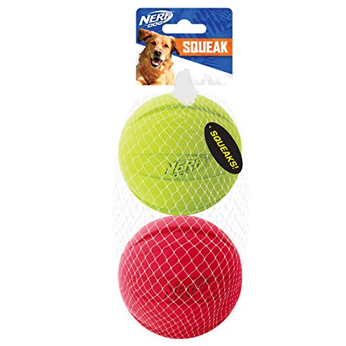 Nerf Dog Klassischer Ball Hundespielzeug mit interaktivem Quietscher, leicht, langlebig und wasserabweisend, 9,5 cm, für mittelgroße/große Rassen, 2er-Pack, grün und rot von NERF