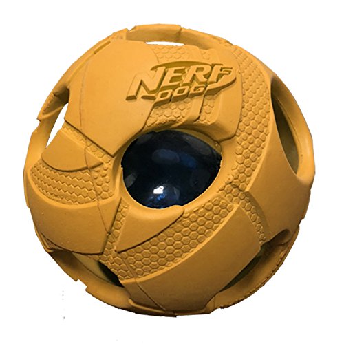 Nerf Dog Medium LED Bash Ball Tricks orange Hund Spielzeug von NERF