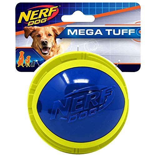 Nerf Dog Megaton-Ball aus TPR/Schaumstoff, 10,2 cm, Blau/Grün von NERF