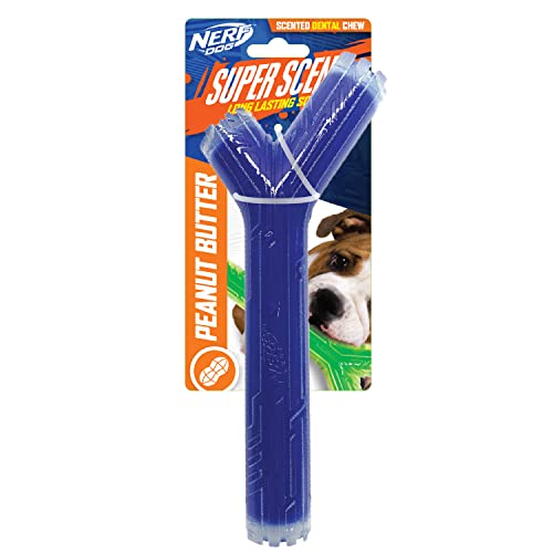 Nerf Dog NF-7133 SuperScent Stick mit Erdnussbutter-Duft, fester Kern, 25,4 cm, transparent/blau von NERF