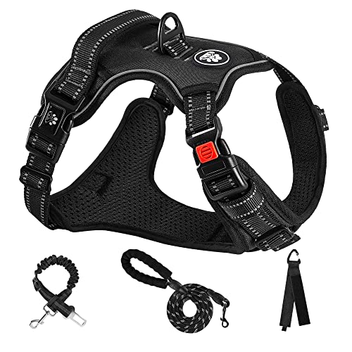 NESTROAD Hundegeschirr Kleine Hunde Schwarz, Anti Zug Geschirr Gepolstert Brustgeschirr für Kleine Hunde, Größe S Halsumfang 28~38CM, Brustumfang 38~53CM, Reflexstreifen Brustgeschirr Hund NESTROAD Hundegeschirr Kleine Hunde Schwarz, Anti Zug Geschirr Gepolstert Brustgeschirr für Kleine Hunde, Größe S Halsumfang 28~38CM, Brustumfang 38~53CM, Reflexstreifen Brustgeschirr Hund von NESTROAD