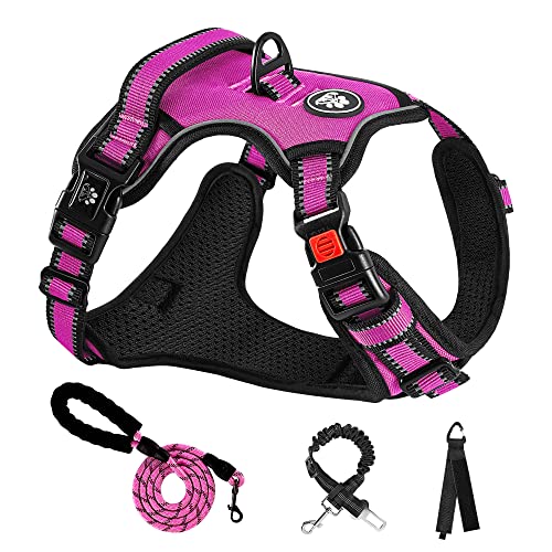 NESTROAD Hundegeschirr Kleine Hunde Rose Rot, Anti Zug Geschirr Gepolstert Brustgeschirr für Kleine Hunde, Größe S Halsumfang 28~38CM Brustumfang 38~53CM, Reflexstreifen Brustgeschirr Hund NESTROAD Hundegeschirr Kleine Hunde Rose Rot, Anti Zug Geschirr Gepolstert Brustgeschirr für Kleine Hunde, Größe S Halsumfang 28~38CM Brustumfang 38~53CM, Reflexstreifen Brustgeschirr Hund von NESTROAD