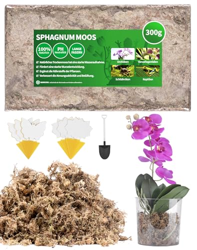 300g Sphagnum Moos für Pflanzen Terrarium Orchideen Torfmoos Terrarienmoos Peat Moss Feuchtigkeitsspendende Ernährung Natürliches TerrarienSubstrat für Orchideen Moos mit Trauermücken Gelbsticker 300g Sphagnum Moos für Pflanzen Terrarium Orchideen Torfmoos Terrarienmoos Peat Moss Feuchtigkeitsspendende Ernährung Natürliches TerrarienSubstrat für Orchideen Moos mit Trauermücken Gelbsticker von NETONDA