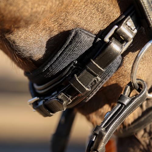 NETPROSHOP Atmungsaktive Kinnunterlage, Kinnpolster Air Mesh, Schützt vor Abrieb und Druck Größe Pony Cob Full, Groesse:Cob NETPROSHOP Atmungsaktive Kinnunterlage, Kinnpolster Air Mesh, Schützt vor Abrieb und Druck Größe Pony Cob Full, Groesse:Cob von NETPROSHOP