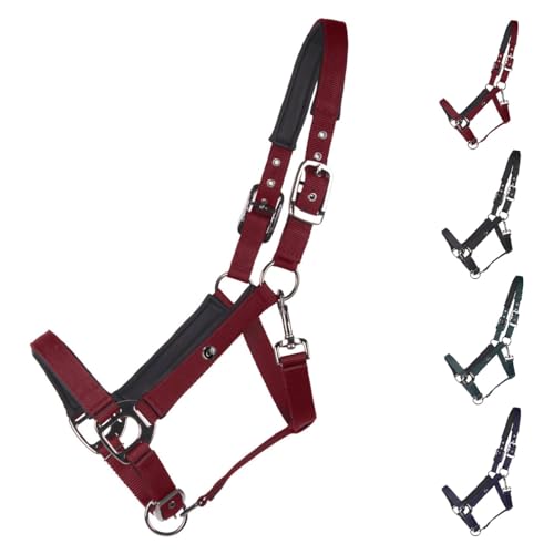 NETPROSHOP Deluxe Halfter gepolstert an Kopfstück, Backen- und Nasenriemen 2-Fach verstellbar Pony Cob Full XLFull, Groesse:Cob, Farbe:Bordeaux NETPROSHOP Deluxe Halfter gepolstert an Kopfstück, Backen- und Nasenriemen 2-Fach verstellbar Pony Cob Full XLFull, Groesse:Cob, Farbe:Bordeaux von NETPROSHOP