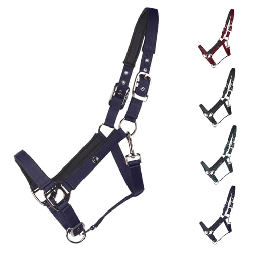 NETPROSHOP Deluxe Halfter gepolstert an Kopfstück, Backen- und Nasenriemen 2-Fach verstellbar Pony Cob Full XLFull, Groesse:Full, Farbe:Dunkelblau NETPROSHOP Deluxe Halfter gepolstert an Kopfstück, Backen- und Nasenriemen 2-Fach verstellbar Pony Cob Full XLFull, Groesse:Full, Farbe:Dunkelblau von NETPROSHOP