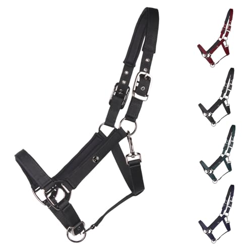 NETPROSHOP Deluxe Halfter gepolstert an Kopfstück, Backen- und Nasenriemen 2-Fach verstellbar Pony Cob Full XLFull, Groesse:Full, Farbe:Schwarz NETPROSHOP Deluxe Halfter gepolstert an Kopfstück, Backen- und Nasenriemen 2-Fach verstellbar Pony Cob Full XLFull, Groesse:Full, Farbe:Schwarz von NETPROSHOP