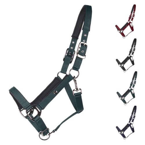 NETPROSHOP Deluxe Halfter gepolstert an Kopfstück, Backen- und Nasenriemen 2-Fach verstellbar Pony Cob Full XLFull, Groesse:XL Full, Farbe:Dunkelgruen NETPROSHOP Deluxe Halfter gepolstert an Kopfstück, Backen- und Nasenriemen 2-Fach verstellbar Pony Cob Full XLFull, Groesse:XL Full, Farbe:Dunkelgruen von NETPROSHOP