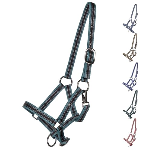 NETPROSHOP Fohlenhalfter 3-Fach Verstellbar für Falabella/Shetty/Pony/Full, Groesse:Fohlen Falabella, Farbe:Ocean Breeze NETPROSHOP Fohlenhalfter 3-Fach Verstellbar für Falabella/Shetty/Pony/Full, Groesse:Fohlen Falabella, Farbe:Ocean Breeze von NETPROSHOP