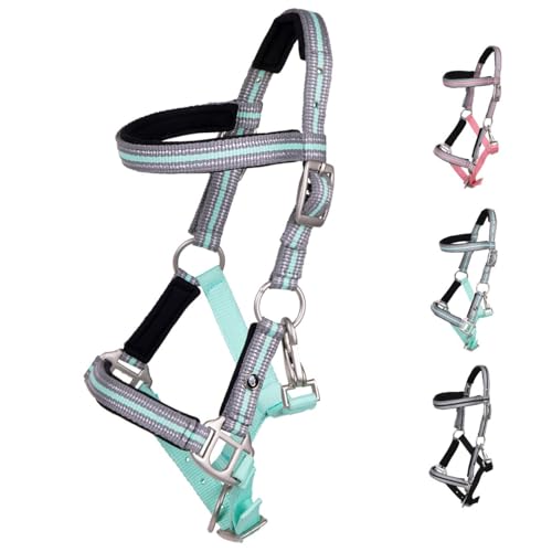 NETPROSHOP Fohlenhalfter Flore mit Stirnband weich gepolstert und verstellbar Falabella Shetty Pony Full, Groesse:Fohlen Shetty, Farbe:Ice Green NETPROSHOP Fohlenhalfter Flore mit Stirnband weich gepolstert und verstellbar Falabella Shetty Pony Full, Groesse:Fohlen Shetty, Farbe:Ice Green von NETPROSHOP