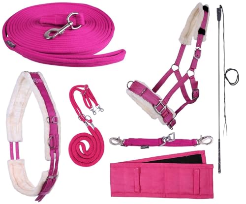 NETPROSHOP Longieren Zubehör Farbe Pink Wählen Sie: Zaum, Longe, Pad oder Gurt usw., Auswahl:Longiergerte, Groesse:One Size NETPROSHOP Longieren Zubehör Farbe Pink Wählen Sie: Zaum, Longe, Pad oder Gurt usw., Auswahl:Longiergerte, Groesse:One Size von NETPROSHOP