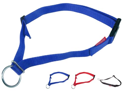 NETPROSHOP Sicherheits-Halsband für Ihr Pferd mit Sicherheitschnalle Nylon, Farbe:Blau NETPROSHOP Sicherheits-Halsband für Ihr Pferd mit Sicherheitschnalle Nylon, Farbe:Blau von NETPROSHOP