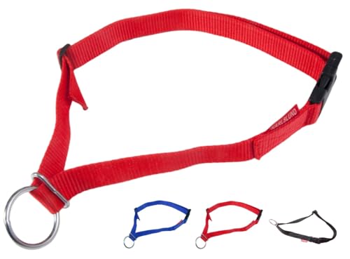 NETPROSHOP Sicherheits-Halsband für Ihr Pferd mit Sicherheitschnalle Nylon, Farbe:Rot NETPROSHOP Sicherheits-Halsband für Ihr Pferd mit Sicherheitschnalle Nylon, Farbe:Rot von NETPROSHOP