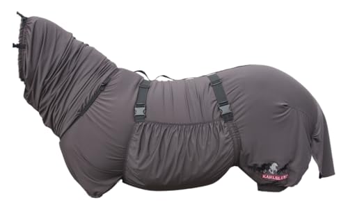 netproshop Flexible Ekzemdecke Fliegendecke für Islandpferde Fliegenschutzdecke Isländer Größe 125 netproshop Flexible Ekzemdecke Fliegendecke für Islandpferde Fliegenschutzdecke Isländer Größe 125 von NETPROSHOP