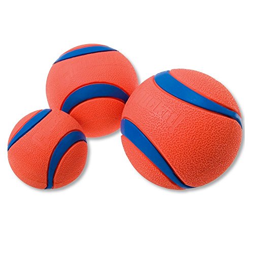 netproshop Super ChuckIt Ultra Ball hohe Qualität schwimmfähig 1 Stück Größe L 7 cm von NETPROSHOP