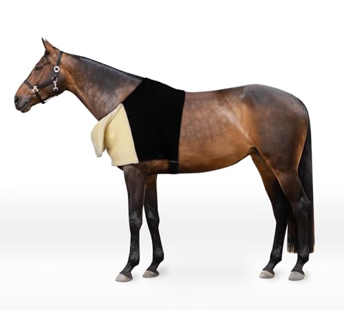 netproshop Weicher Schulterschutz aus elastischem Material schwarz-Natur Größe S M L XL, Groesse:S, Farbe:Schwarz netproshop Weicher Schulterschutz aus elastischem Material schwarz-Natur Größe S M L XL, Groesse:S, Farbe:Schwarz von NETPROSHOP