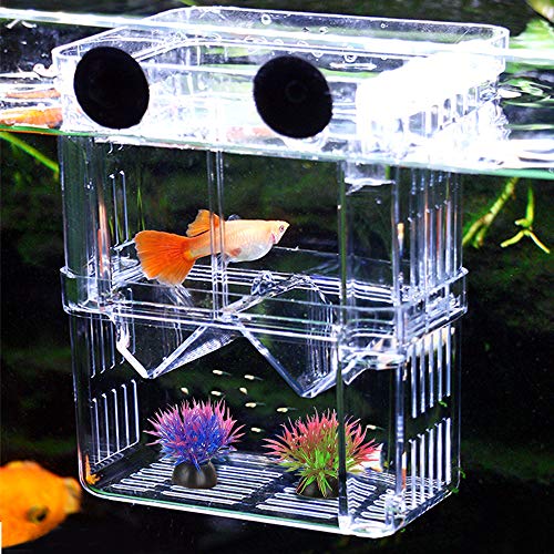 Aufzuchtbecken Aquarium, NETUEM Acryl Double Layer Fische Aufzuchtbehälter/Ablaichkasten/Aufzuchttank/Zuchtbecken für Guppy Garnelen Mollys, Aquarium Babybecken Isolationskiste Jungfiisch,Lsize von NETUME