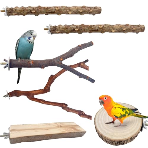 Vogel-Sitzstangen für Käfig, Naturholz, für Papageien, Wellensittiche, O-förmige und rechteckige Plattformen, Vogelkäfig-Ständer für Papageien, Nymphensittiche, Unzertrennliche, 6 Stück von NEUSID