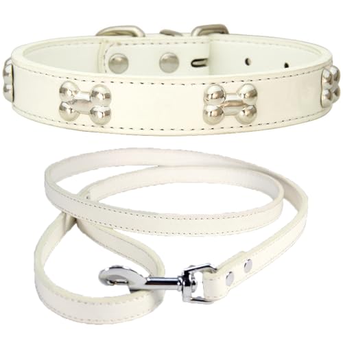 NEUSOP Hundehalsband aus Leder, verstellbar, Hundeleine, Hundehalsband, Katzenhalsbänder für Hunde, Katzen, Welpen, Haustierhalsband M von NEUSOP