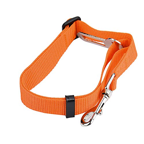 NEVRTP Hund Sicherheitsgurt Haustier Hund Katze Auto Sicherheitsgurt Sicherheitsgurt Verstellbarer Gurt Gurte Haustier Leine Universal Fit Cars Truck NEVRTP Hund Sicherheitsgurt Haustier Hund Katze Auto Sicherheitsgurt Sicherheitsgurt Verstellbarer Gurt Gurte Haustier Leine Universal Fit Cars Truck von NEVRTP