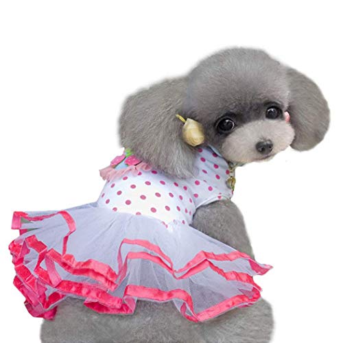 NEVRTP Kleine Hundekleidung Hund Cat Print Rock ， Kleines Hund Spitzenkleid ，Hundekleidung Haustierkleidung Prom Puppy DressCat Birthday Doggie Party Dress ，Cat (B-Rosa, S) von NEVRTP