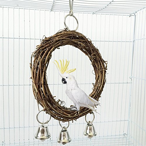 Vogelschaukel, Papageienkäfigspielzeug, Schaukel hängendes Spiel mit Spiegel für graue Sittichkakadu-Kaubisse Kleiner Ara von NEVRTP