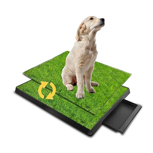 NEWFUN Hundeklo Hundetoilette Welpentoilette Trainingsunterlage, 2X künstliche Grastrainingspads Indoor Hundetöpfchen, Hunde Training, Hundetoilette für kleine & große Hunde(63 X 51CM) von NEWFUN