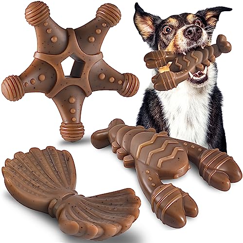 Kauspielzeug für aggressive Kauer, unzerstörbares Hundespielzeug für große Hunde, 3 Stück Super Kauspielzeug Hundespielzeug mit robustem Nylon, Geschenk für Hunde Kauspielzeug für aggressive Kauer, unzerstörbares Hundespielzeug für große Hunde, 3 Stück Super Kauspielzeug Hundespielzeug mit robustem Nylon, Geschenk für Hunde von NEZIN
