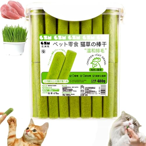NFGTJYUI Cat Grass Teething Stick, Cat Grass Teething Sticks for Indoor Cats, Cat Grass Chew Sticks, for Hairball Removal,CaDental Care, Increase Appetite (1Bucket(80pcs)) von NFGTJYUI