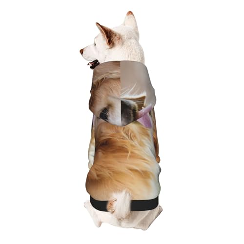 Golden Retriever Hunde-Kapuzenpullover für kleine Hunde, elastischer Stoff, weich und warm für das Tier und einfach zu tragen von NGANOH