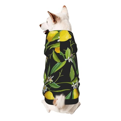 Hunde-Kapuzenpullover mit Zitronen- und Blumenmotiv für kleine Hunde, elastischer Stoff, weich und warm für das Tier und einfach zu tragen von NGANOH