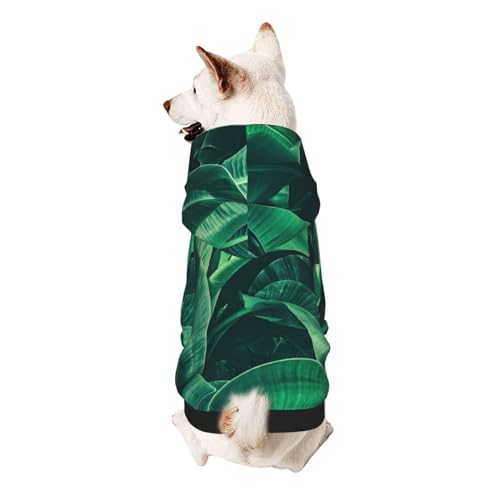 Hunde-Kapuzenpullover mit tropischem Bananenblatt, Hunde-Sweatshirt für kleine Hunde, elastischer Stoff ist sehr bequem, weich und warm für das Tier und einfach zu tragen von NGANOH