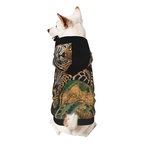 Hunde-Sweatshirt für kleine Hunde, afrikanischer Wildtier-Leopard auf Felsen, elastischer Stoff, sehr bequem, weich und warm für das Tier und einfach zu tragen von NGANOH