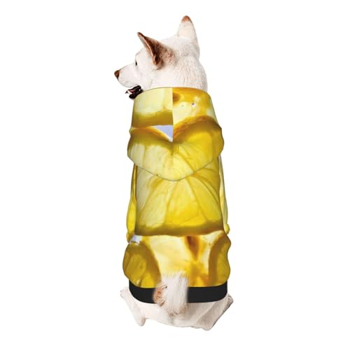 Lemon Slices Hunde-Kapuzenpullover für kleine Hunde, elastischer Stoff, weich und warm für das Tier und einfach zu tragen von NGANOH
