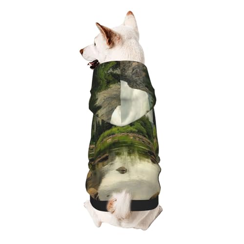 Park Scenery Hunde-Kapuzenpullover für kleine Hunde, elastischer Stoff, weich und warm für das Tier und einfach zu tragen von NGANOH