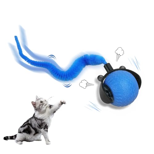 NGOKPYD Interaktiver Katzenball Elektrisch Spielball für Katzen,Automatischer Katzenspielzeug Elektrisch Ball mit LED Licht,Magic Ball Hund Spielball mit Schwanz für Katzen Hunde(Blau) von NGOKPYD