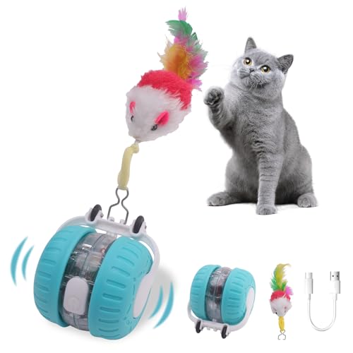 NGOKPYD Interaktives Katzenballspielzeug, wiederaufladbarer beweglicher Katzenball mit Feder, Jagd- und Zwitscherdesign mit roten Punkten, automatisches interaktives Katzenspielzeug für drinnen (blau) von NGOKPYD