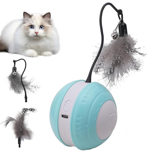 NGOKPYD Interaktives Katzenspielzeug elektrisch Ball – Automatischer Rollball mit Vogelgeräuschen, Bewegungssensor USB-Aufladung, mit austauschbarem Federschwanz für Wohnungskatzen(Grün) von NGOKPYD