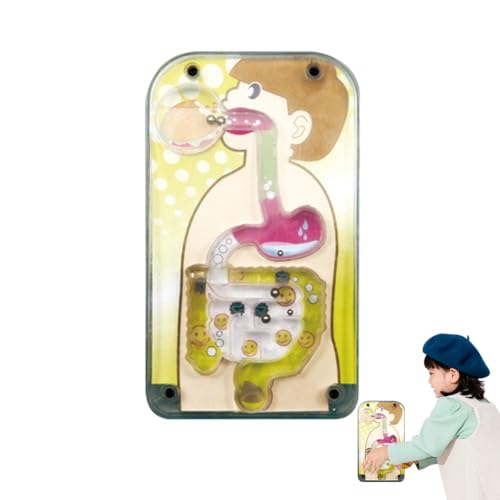 Anatomie-Modell für Kinder, Anatomie Spielzeug für Kinder - Anatomie-Modell für menschliche Augäpfel - Anatomie Menschliches Gehirn Augapfel Modell der Biologie Lehre Experimentelle Ausrüstung Anatomie-Modell für Kinder, Anatomie Spielzeug für Kinder - Anatomie-Modell für menschliche Augäpfel - Anatomie Menschliches Gehirn Augapfel Modell der Biologie Lehre Experimentelle Ausrüstung von NGUMMS