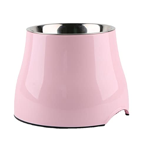 Hochgestellte Katzenschalen aus Edelstahl - Edelstahl ohne geneigte Schüssel für Hunde und Katzen | Katze Food Bowl Gericht Geneigte Hochgestellte Katze Wasser Schüssel Haustier Lagerraum Hochgestellte Katzenschalen aus Edelstahl - Edelstahl ohne geneigte Schüssel für Hunde und Katzen | Katze Food Bowl Gericht Geneigte Hochgestellte Katze Wasser Schüssel Haustier Lagerraum von NGUMMS