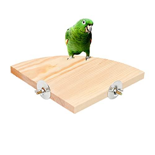 Holzpingbrett - Ventilatorform Papageienständer Plattform Springboard Barsch | Trainingskäfigzubehör Stativ Barsch für Igel Budgie Cockatiel Parakiten von NGUMMS