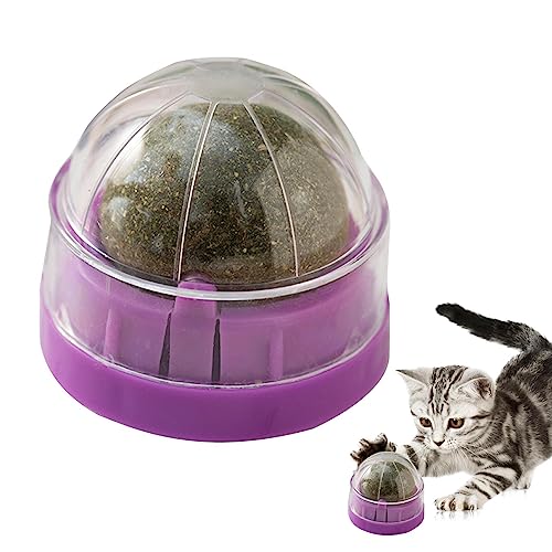 Katze Ball - Roller Catnip Ball Wandspielzeuge,Wandkesselrolle, gesundes Zahnfleisch Kauspielzeug, Bio-Katzenklopfen, Katzenbeißspielzeug, Katzenwand-Süßigkeiten für Kätzchen spielen und kauen Katze Ball - Roller Catnip Ball Wandspielzeuge,Wandkesselrolle, gesundes Zahnfleisch Kauspielzeug, Bio-Katzenklopfen, Katzenbeißspielzeug, Katzenwand-Süßigkeiten für Kätzchen spielen und kauen von NGUMMS