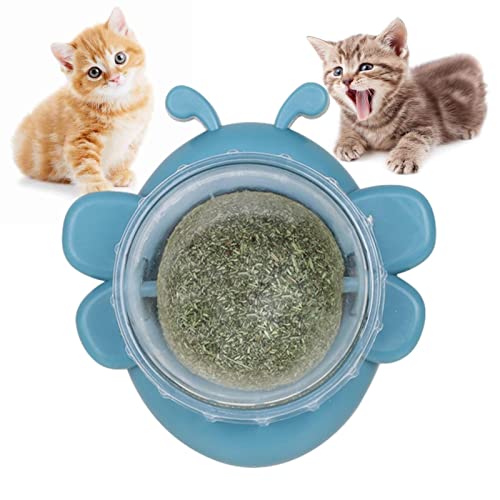 Katzenminze Ballspielzeug - Bienenform Catnip Roller Kugel Wandspielzeug | Wand Katzenminze Roller für Katzenlecken, Katzenminze Roller Kugel Wandspielzeug Rotierende Gesunde Katzenminze Leckbare Katzenminze Ballspielzeug - Bienenform Catnip Roller Kugel Wandspielzeug | Wand Katzenminze Roller für Katzenlecken, Katzenminze Roller Kugel Wandspielzeug Rotierende Gesunde Katzenminze Leckbare von NGUMMS