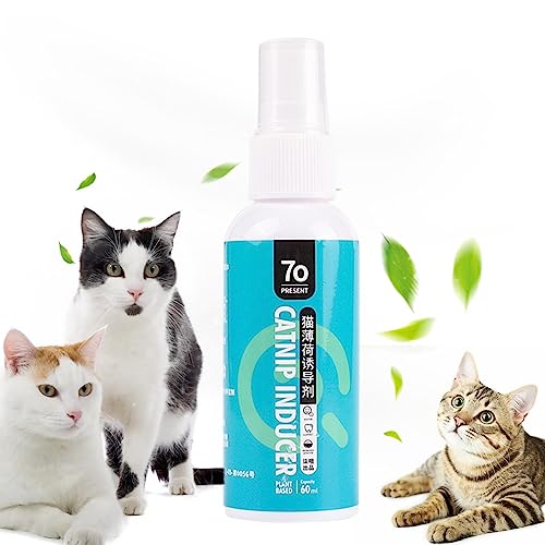Katzenminze-Spray für Katzen | Katzenminze Cat Happy Wasserspray,Sanftes und nicht reizendes Katzentrainingsgerät für kleine, mittlere und große Katzen Ngumms von NGUMMS