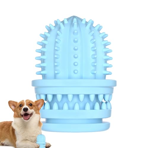 NGUMMS Quietschspielzeug für Haustiere, Hundespielzeug für aggressive Kauer | Hundespielzeug Kaktus | Hundespielzeug robust und quietschend für die Zahnpflege NGUMMS Quietschspielzeug für Haustiere, Hundespielzeug für aggressive Kauer | Hundespielzeug Kaktus | Hundespielzeug robust und quietschend für die Zahnpflege von NGUMMS