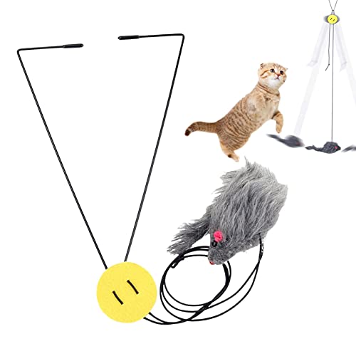 NGUMMS Tür-Katzenspielzeug | Türhängendes Kätzchenspielzeug | Einziehbares Seil, geräuscherzeugendes interaktives Spielzeug für Haustiere, elastisch zum Spielen und Trainieren im Innenbereich von NGUMMS