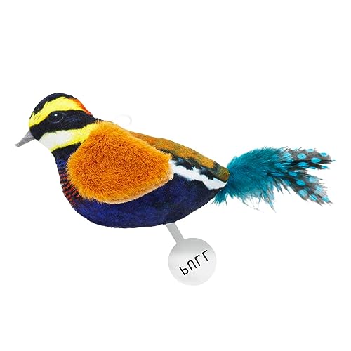NGUMMS Zwitschendes Katzenspielzeug | Interaktives Federspielzeug mit Catnip Birds Squeak Kitten Toys - interaktives Spielzeug für Katzen in Form von NGUMMS Zwitschendes Katzenspielzeug | Interaktives Federspielzeug mit Catnip Birds Squeak Kitten Toys - interaktives Spielzeug für Katzen in Form von von NGUMMS