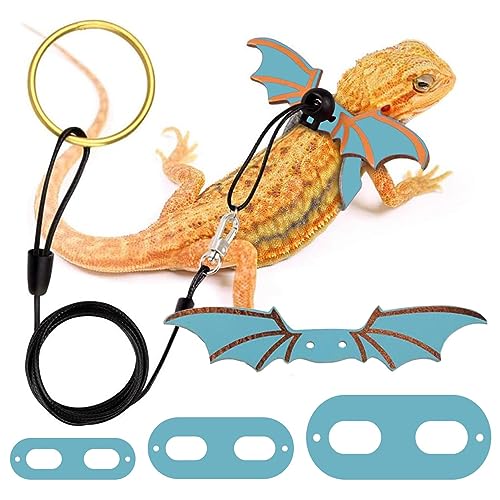 Reptil-Leine - Bearded Drachen Gurtzeug und Leine,S//L 3er-Pack verstellbare Amphibien Leine Kostümzubehör für Reptilien, Geckos, Leguane Reptil-Leine - Bearded Drachen Gurtzeug und Leine,S//L 3er-Pack verstellbare Amphibien Leine Kostümzubehör für Reptilien, Geckos, Leguane von NGUMMS